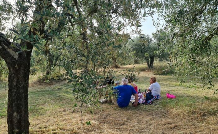 Montepulciano: pomeriggio di gusto e natura con la Merenda nell’Oliveta