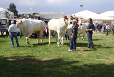 A Tre Berte la 41esima edizione della Fiera dell’Agricoltura