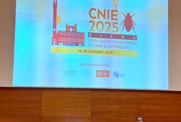 A Siena il XXVIII Congresso nazionale di Entomologia