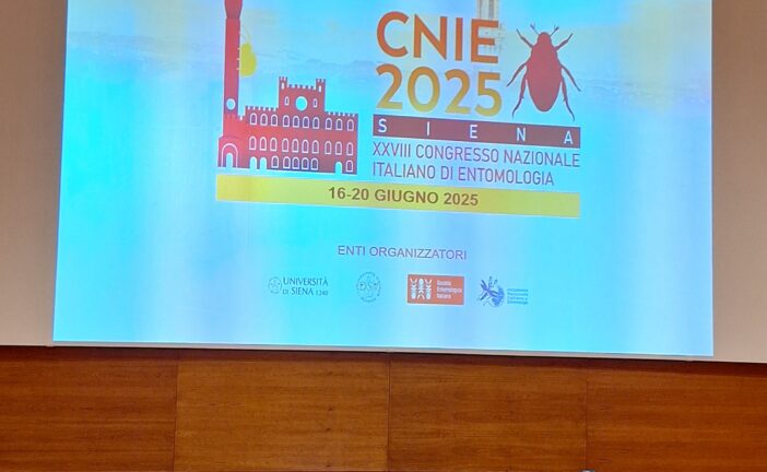 A Siena il XXVIII Congresso nazionale di Entomologia