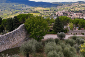 Cinema in Rocca per serate sotto le stelle a San Gimignano