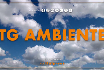 Tg Ambiente – 29/6/2025