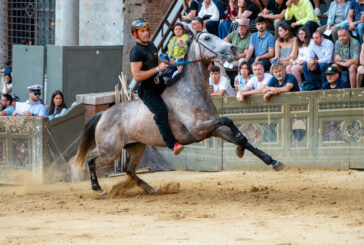 Palio: 35 i cavalli ammessi alla Tratta