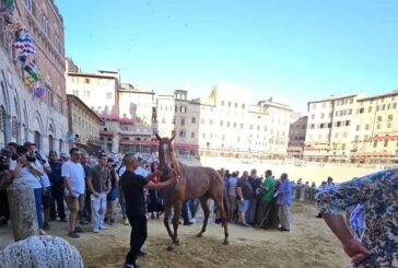 Palio: tutti presenti i 35 cavalli ammessi alle batterie della Tratta