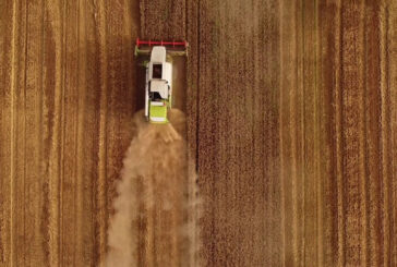 Agricoltura, nuovi finanziamenti per l'innovazione