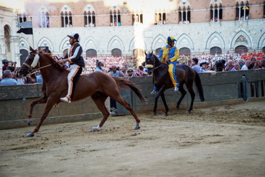 Palio: la Lupa vince la terza prova