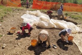 Gaiole: alla scoperta della villa romana di Monti