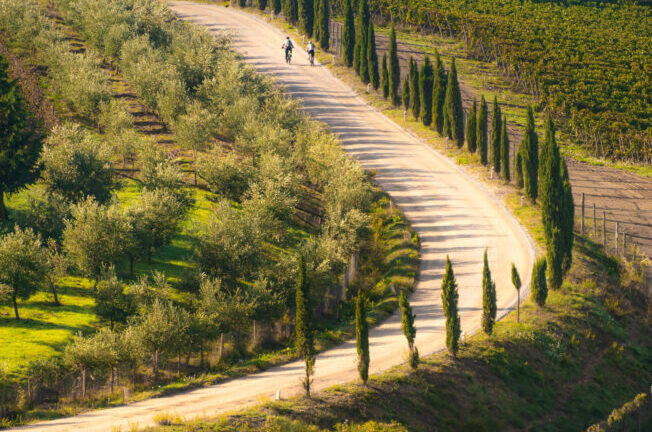 Terre di Gaiole – Sentieri Divini: una giornata per vivere il Chianti