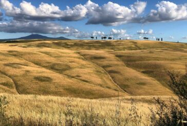 Luglio a Montalcino: un invito a scoprire, ad ascoltare e partecipare