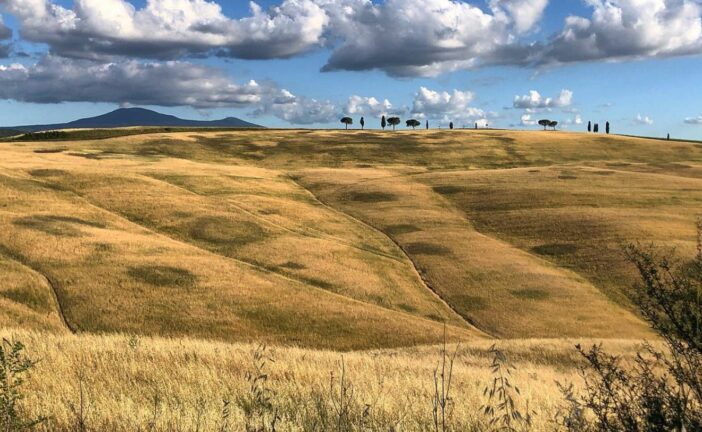 Luglio a Montalcino: un invito a scoprire, ad ascoltare e partecipare