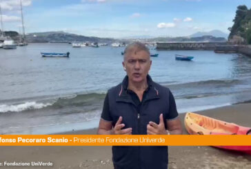 Pecoraro Scanio a difesa del mare “Tutela per un Mediterraneo pulito"