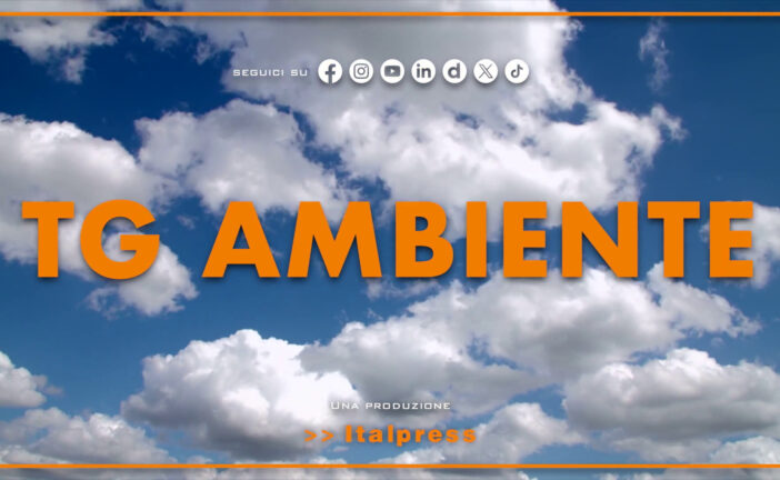 Tg Ambiente – 15/6/2025
