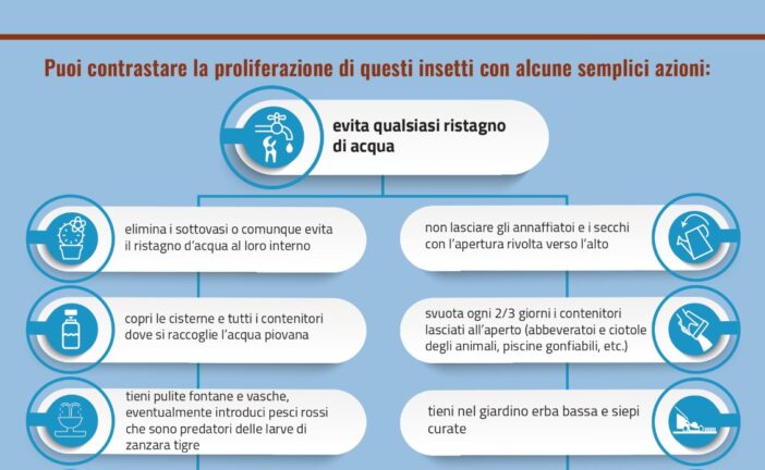 Lotta alla zanzara, accorgimenti necessari per prevenire i focolai