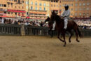 Palio: cinque batterie della tratta. La prima alle 9