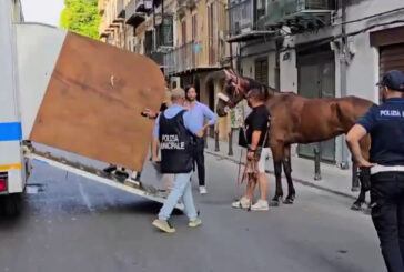 A Palermo cavallo stramazza a terra, multati conducente e proprietario