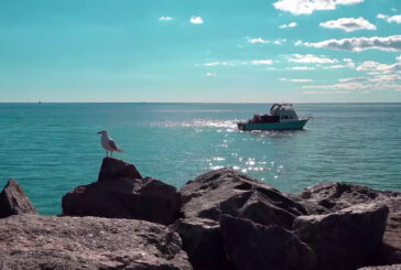 Pesca, verso una governance comune per l'Adriatico