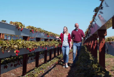 "Coltiva Italia", un maxi piano per l'agricoltura