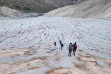 Al via il progetto di citizen science “CollembolICE “