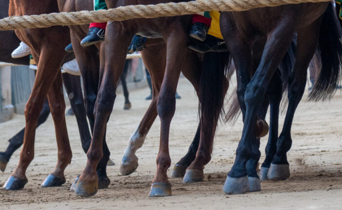 Le altre mosse del Palio di luglio