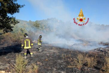 Incendio boschivo nella zona di Radicofani: in corso la bonifica