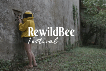 Rewild Bee Festival 2025 dal 24 ottobre a Monticiano
