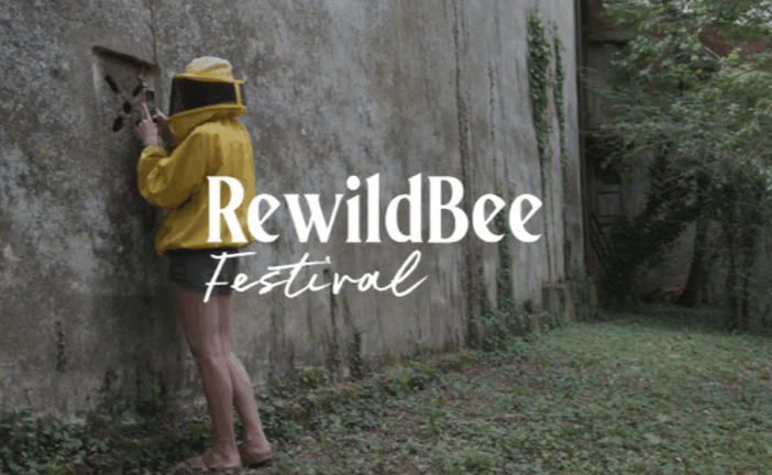 Rewild Bee Festival 2025 dal 24 ottobre a Monticiano