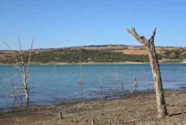 Cambiamenti climatici e siccità, l’impatto sull’agricoltura