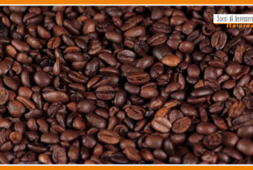 Sorsi di Benessere – Un frullato sano e naturale con il caffè