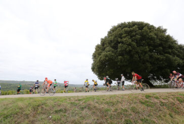 L’Eroica: il museo della bellezza che non ha biglietto