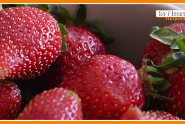 Sorsi di Benessere – Una crema di frutti rossi