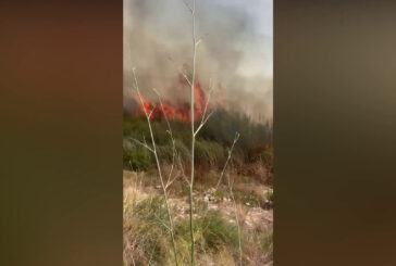 Un incendio divampa in un canneto nel ragusano, le immagini