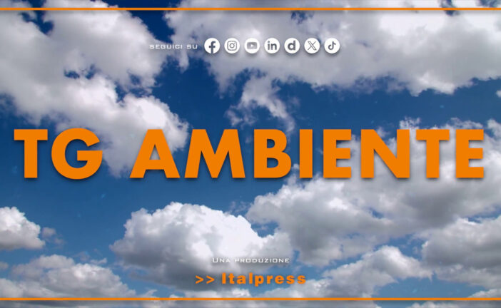 Tg Ambiente – 17/8/2025