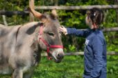 A Torrita di Siena un progetto di pet therapy con asini per bimbi e ragazzi fragili