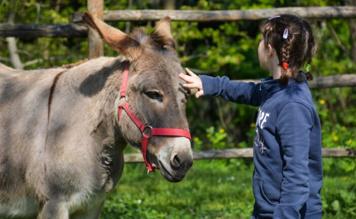 A Torrita di Siena un progetto di pet therapy con asini per bimbi e ragazzi fragili