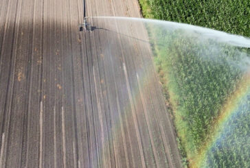 Rivoluzione nei campi, l’Ue punta sull’agricoltura rigenerativa