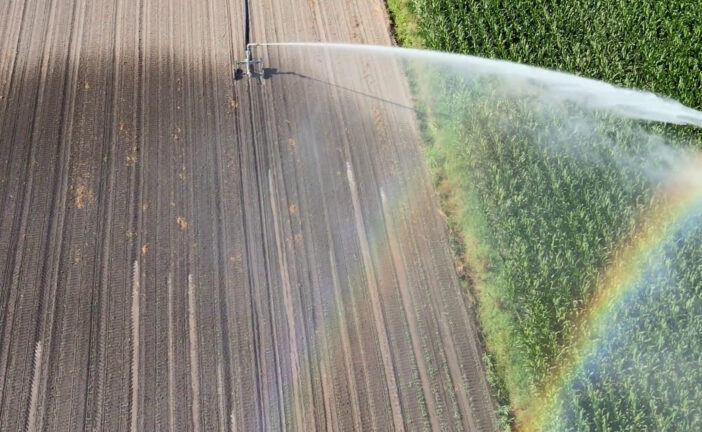 Rivoluzione nei campi, l’Ue punta sull’agricoltura rigenerativa