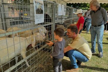 Torrita: il 20 e il 21 settembre la 47esima Fiera al Piano