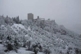 Maltempo: Coldiretti Siena, neve e freddo accolti con fiducia dagli agricoltori