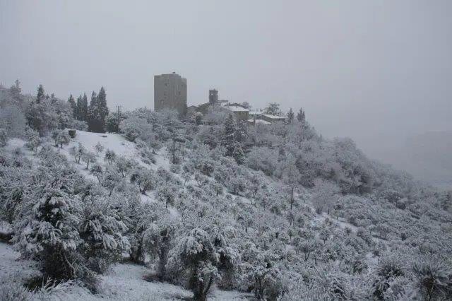 Maltempo: Coldiretti Siena, neve e freddo accolti con fiducia dagli agricoltori