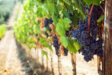 Coldiretti Siena: preoccupazione per la conferma dei Dazi Usa al 15%