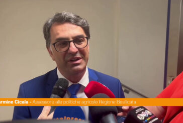In Basilicata finanziate nuove imprese agricole condotte da giovani