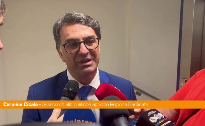 In Basilicata finanziate nuove imprese agricole condotte da giovani