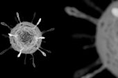 Uno studio definisce l'intervallo ottimale tra le dosi vaccinali