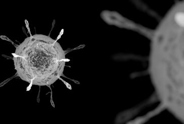 Uno studio definisce l'intervallo ottimale tra le dosi vaccinali