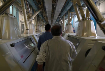 Divella, lo storico molino di Noicattaro punta sulla tecnologia