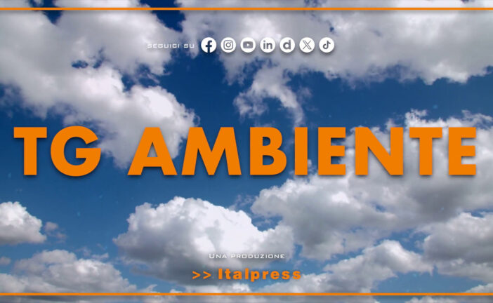 Tg Ambiente – 14/9/2025