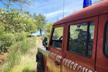 Bloccati nel bosco con l’auto: soccorsi dai Vigili del fuoco