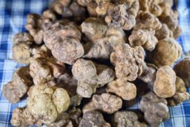 Mostra Mercato del Tartufo Bianco a San Giovanni d’Asso l’8-9 e 14-15-16 Novembre