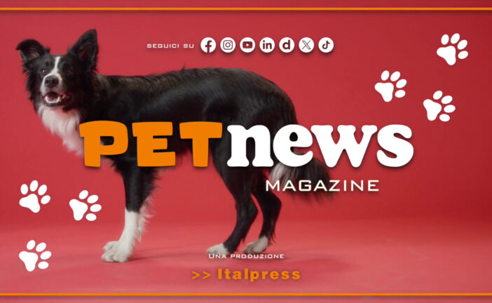 PetNews Magazine – 15/9/2025