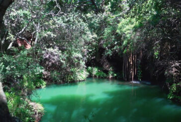 Rinnovato l’impegno globale per il futuro delle Zone Umide